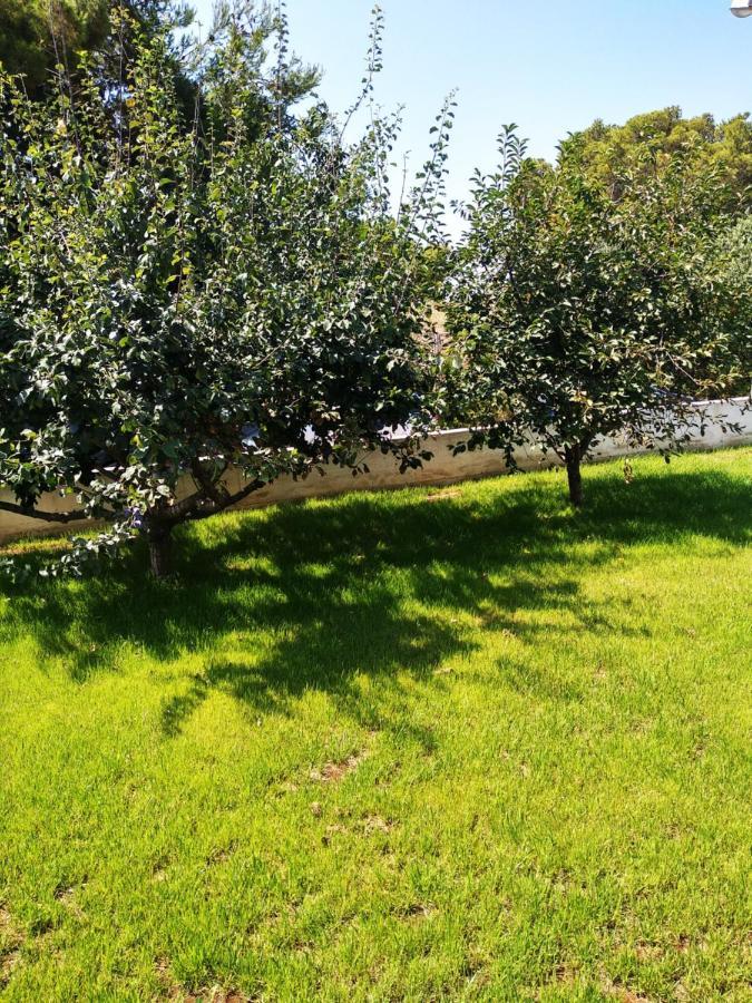 House Of Silence Apartment Trogir Bagian luar foto