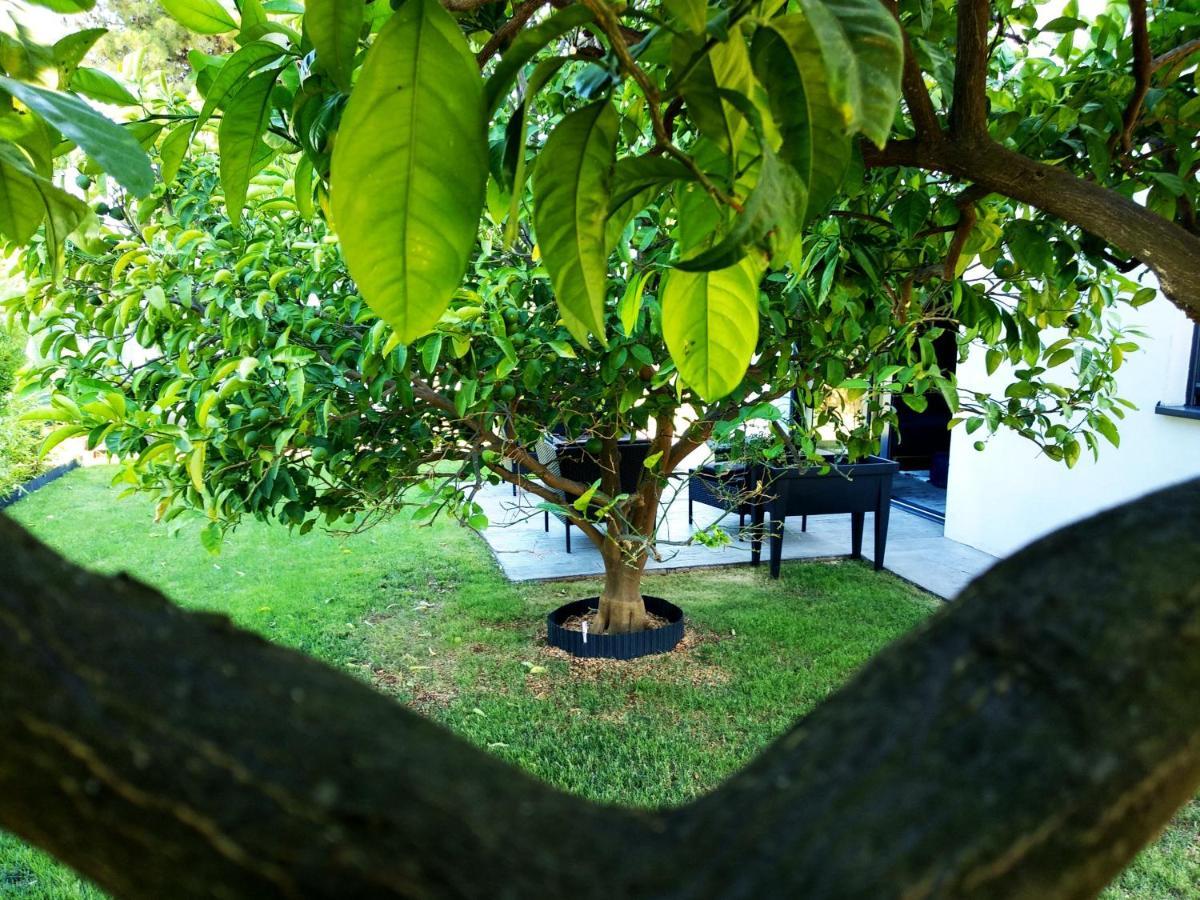 House Of Silence Apartment Trogir Bagian luar foto